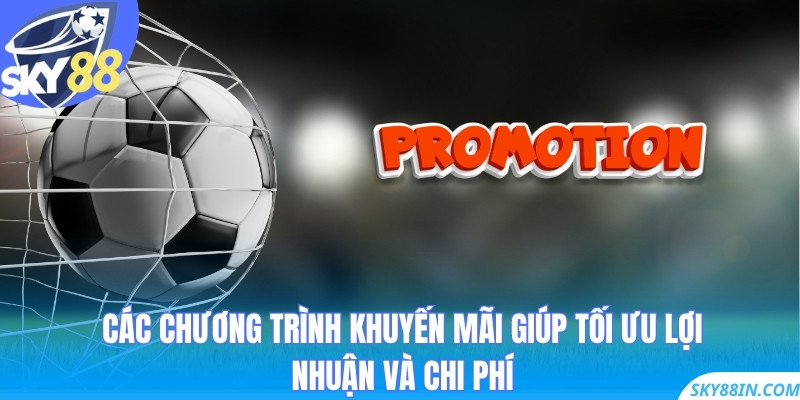 Các chương trình khuyến mãi giúp tối ưu lợi nhuận và chi phí